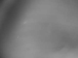 voyeurcam freakyfeline 01